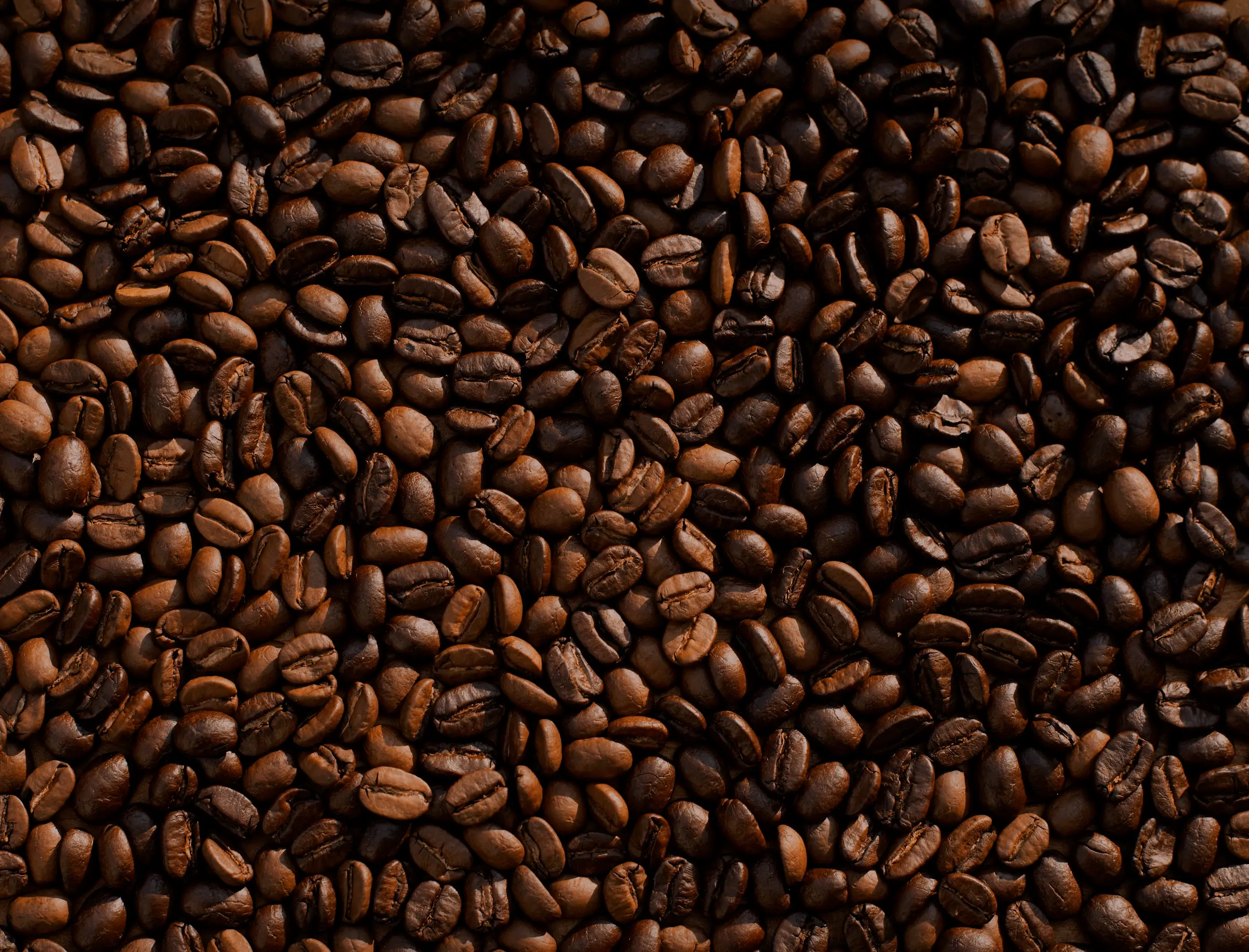 Macro roasted coffee beans